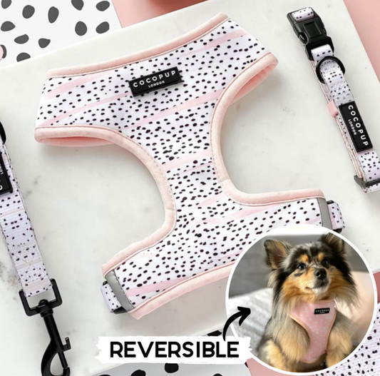 Spotted Brooklyn Harness- Reversable